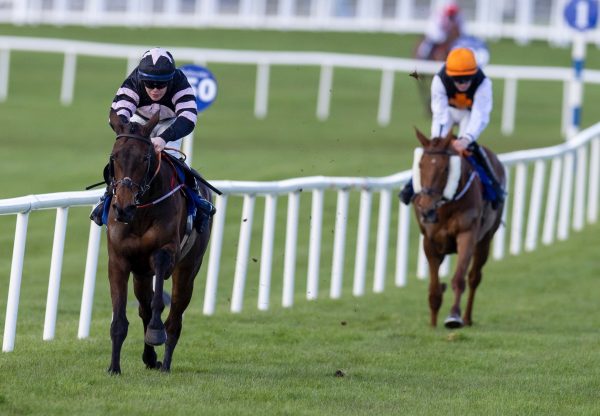 Broomfield Bijou (Walk In The Park) Wins The Mares Maiden Hurdle At Ballinrobe