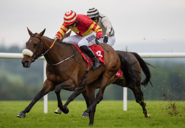Brosna Queen (getaway) Wins The Mares Bumper At Punchestown