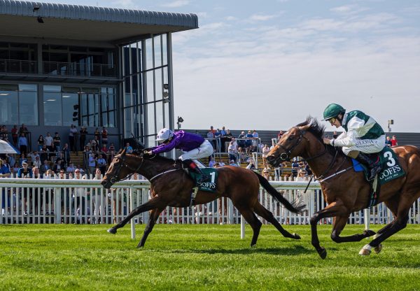 Bucanero Fuerte (Wootton Bassett) Wins The Group 3 Lacken Stakes