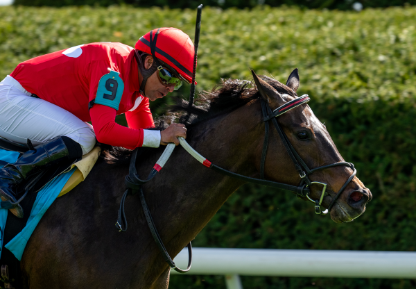 Buchu (Justify) Wins Gr.2 Appalachian Stakes at Keeneland