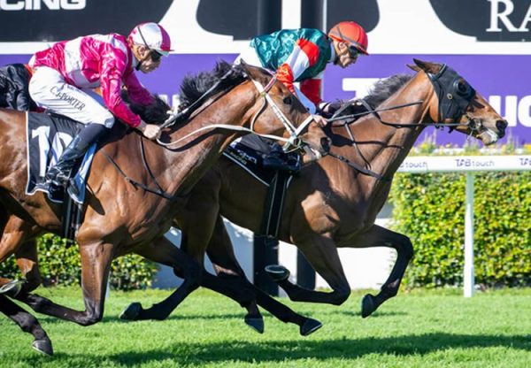 Buckets Ridge Towton