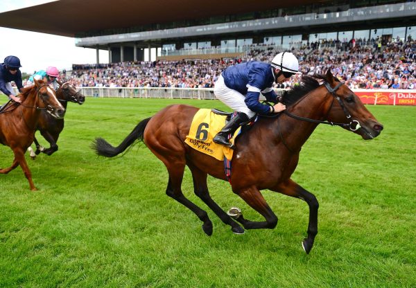 Buckhurst Becomes The Latest Stakes Winner By Australia