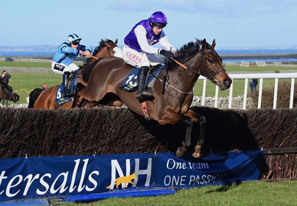 Bud Fox (Walk In The Park) Wins The 4 Yo Geldings Maiden At Bellharbour