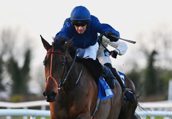 Butch Cassidy (Walk In The Park) Wins On Debut At Ballinrobe