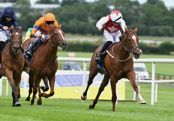 By The Lake (starspangledbanner) Wins On Debut At Naas