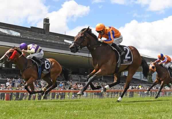 Cognito (So You Think) winning the Gr.2 Wellington Guineas at Trentham