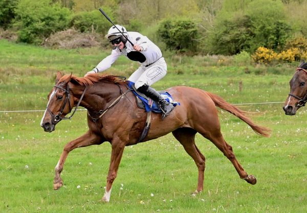 Cahiers Den (Idaho) Wins The 4 Yo Maiden At Ballindenisk