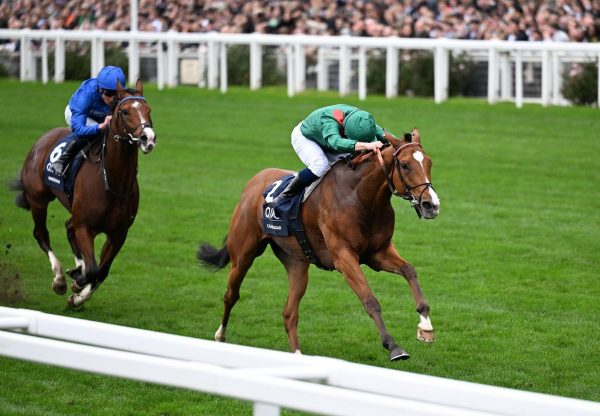 Calandagan Gleneagles Ascot