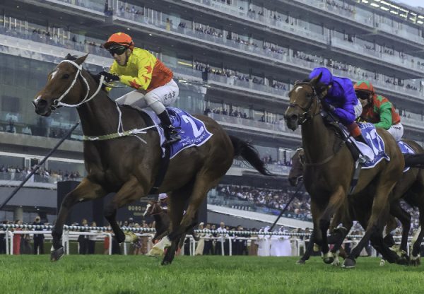 California Spangle (Starspangledbanner) wins the Gr.1 Quoz Sprint at Meydan