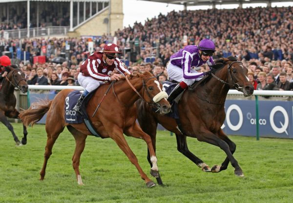 Camelot winning the G1 2000 Guineas