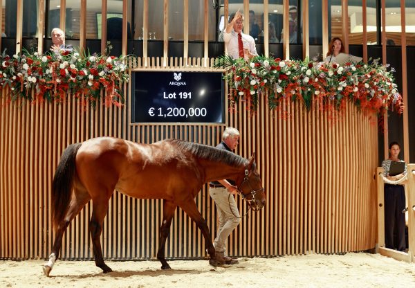 Camelot X Peinture Secrete Colt Arqana