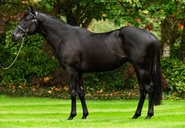 Camille Pissarro Standing 1