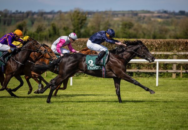 Camille Pissarro (Wootton Bassett) Wins On Debut At Navan