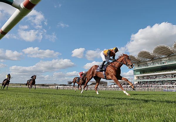 Carla's Way (Starspangledbanner) wins the Gr.2 Rockfel Stakes at Newmarket