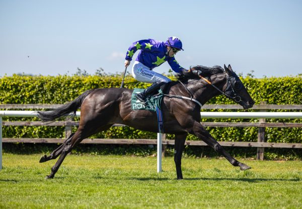 Carmers (wootton bassett) Wins The Listed Yeats Stakes