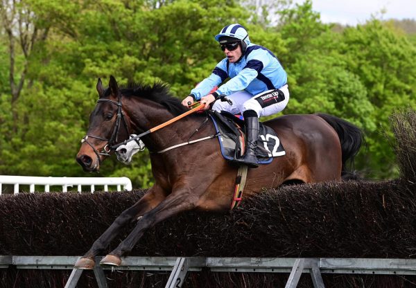 Cavalier Du Luy (Vadamos)  Wins The 4 Yo Maiden At Toomebridge