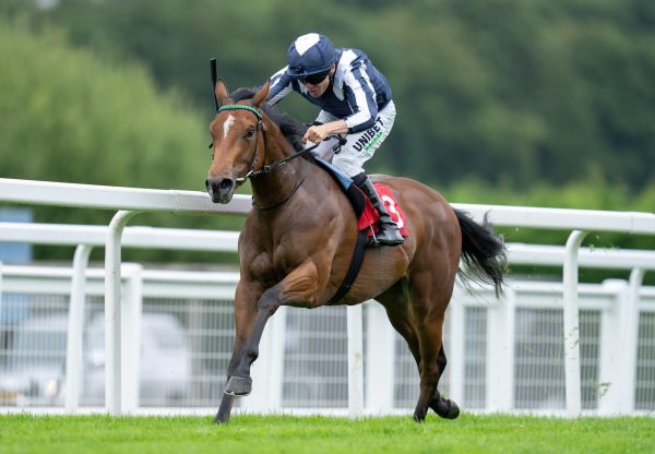 Celestial Orbit (No Nay Never) Wins The Listed Star Stakes