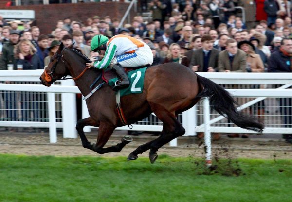 Celestial Tune Maxios Cheltenham