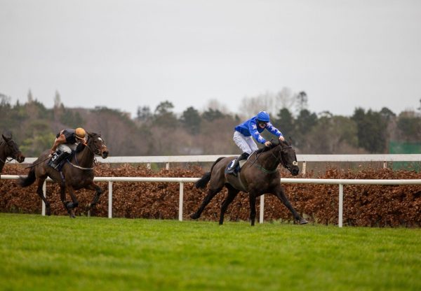 Champagne Kid Vadamos Leopardstown