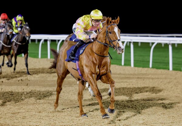 Champagne Sarah (Sioux Nation) Wins At Newcastle