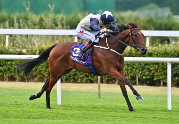 Chantez (Wootton Bassett) Wins Maiden At Leopardstown