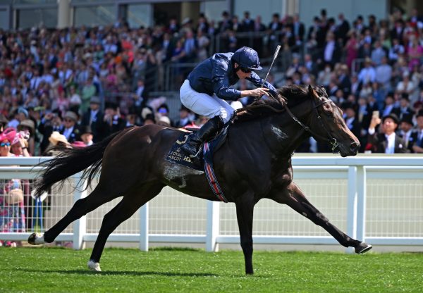 Charles Darwin (no nay never) Wins The Group 2 Norfolk Stakes