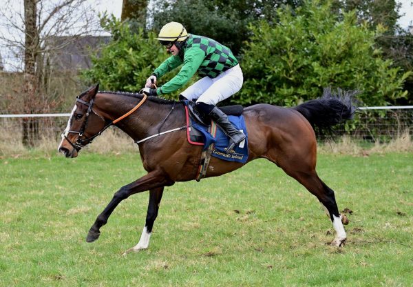 Chosen Comrade (Walk In The Park) Borris House