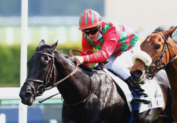 Cirona (Maxios) Lands The Gr.3 Prix De La Grotte at Longchamp