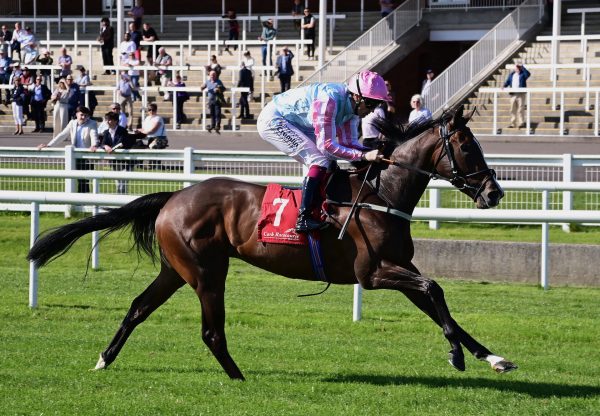 City Of Memphis (Sioux Nation) Wins On Debut At Cork