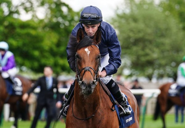 City Of Troy Head Shot