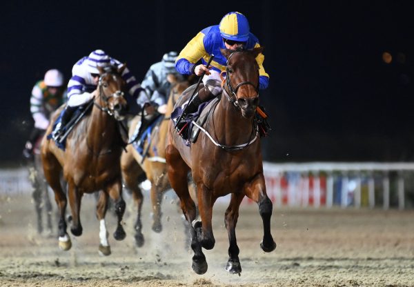 Clarita (Calyx) Wins The Fillies Maiden At Dundalk