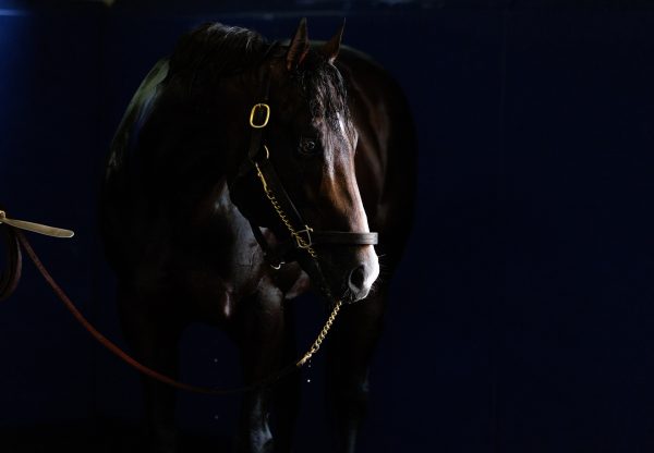 Classic Empire Head Shot