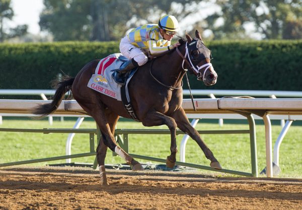 Classic Empire Winning The G2 Breeders Cup Futurity