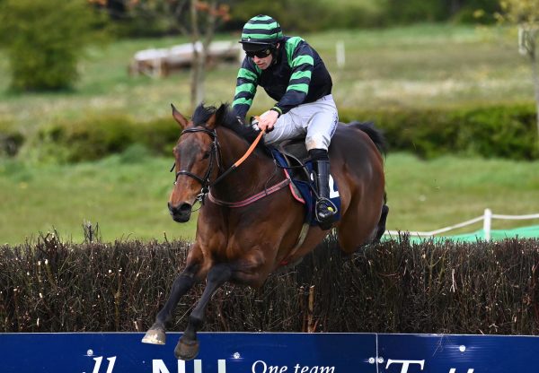 Classical Creek (Walk in the Park) Wins The 4 Yo Maiden At Tattersalls