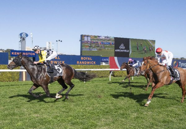 Clear Proof (Justify) Randwick 750
