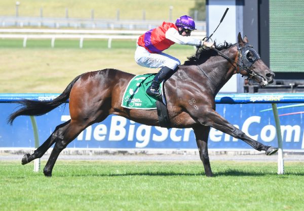 Coastwatch (Fastnet Rock) Sandown 750