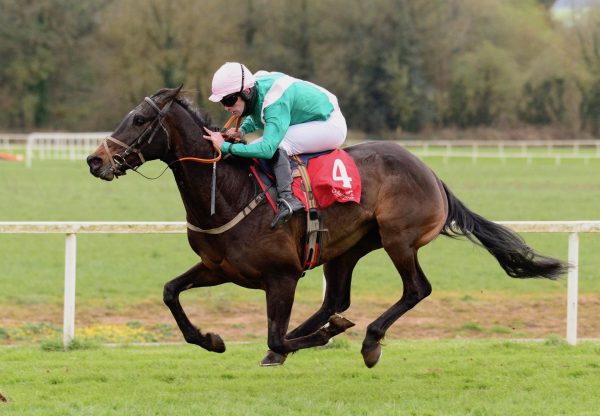 Cobblers Dream (Yeats) Wins The Bumper At Cork