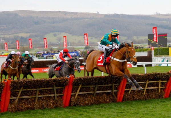 Cole Harden (Westerner) winning at Cheltenham