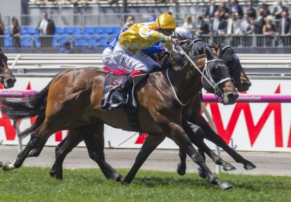 Comin Through (Fastnet Rock) G3 Carbine Club Stakes