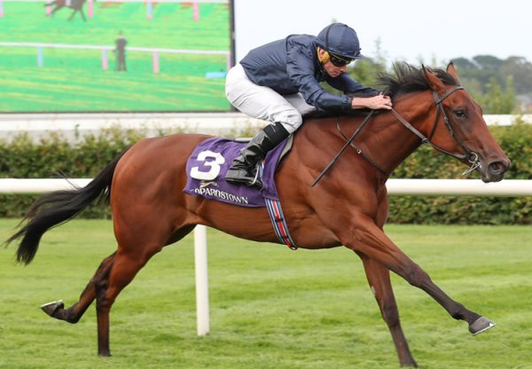 Composing (Wootton Bassett) Silver Flash