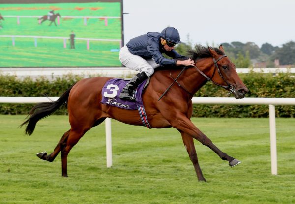 Composing (wootton bassett) Wins The Silver Flash Stakes