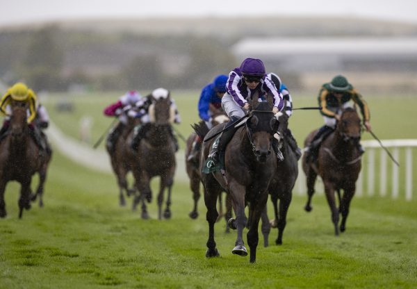 Controlled No Nay Never Naas