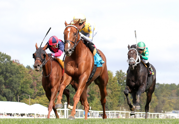 Coringa Practical Joke Magic Million Turf