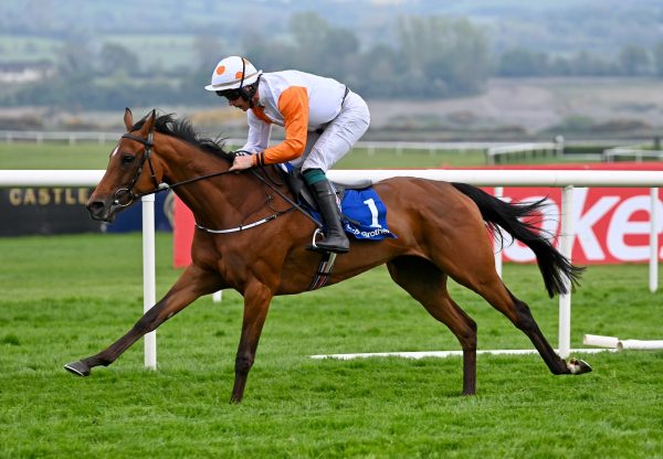 Cottesloe Sunshine (getaway) Wins The Listed Mares Novice Hurdle At Punchestown