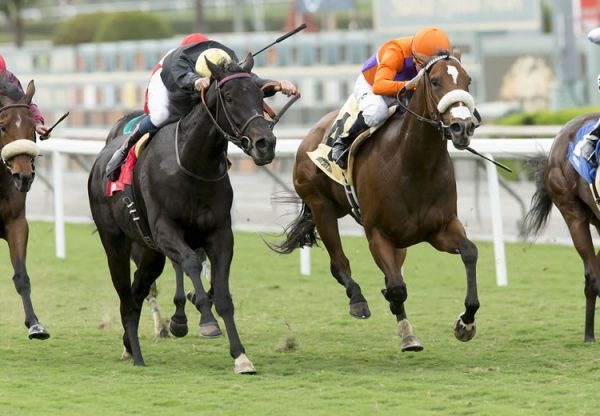 Cover Song (Fastnet Rock)