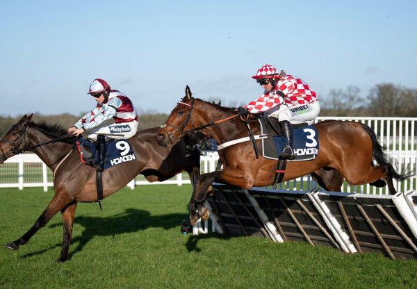 Crystal Island Crystal Ocean Ascot