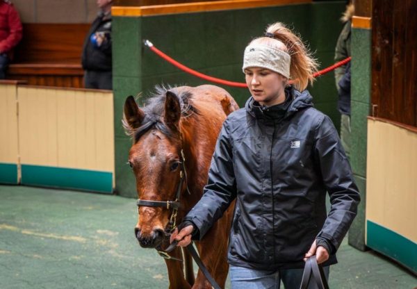 Crystal Ocean X Seesea Goffs December Nh Sale