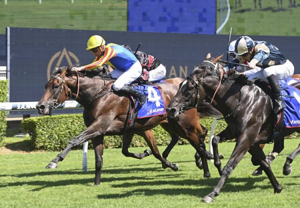 Cut A Dime (So You Think) winning at Randwick