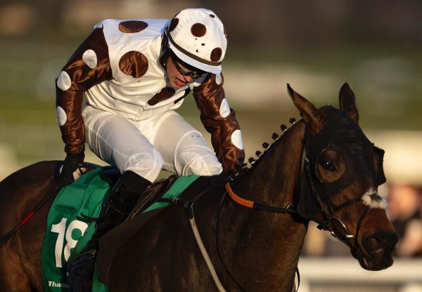 Daily Present (Mahler) Wins The Kim Muir Chase