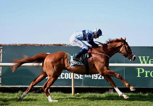 Dakota Blue (Sioux Nation) Wins At Navan